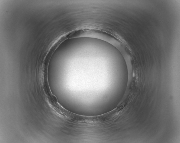 X0000078880580200611271329