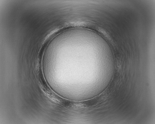 X0000078880583200611271329