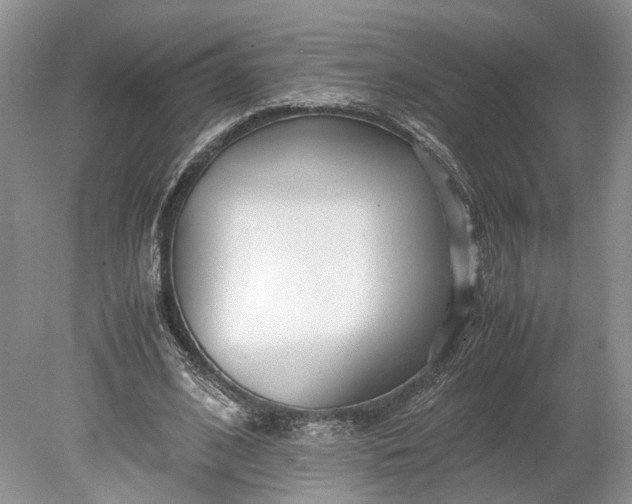 X0000078880584200611271329