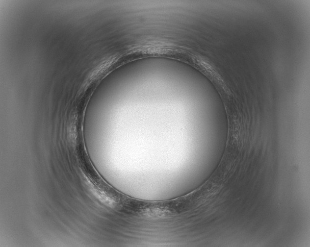 X0000078880586200611271329