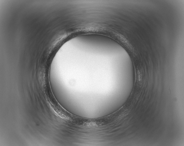 X0000078880588200611271329