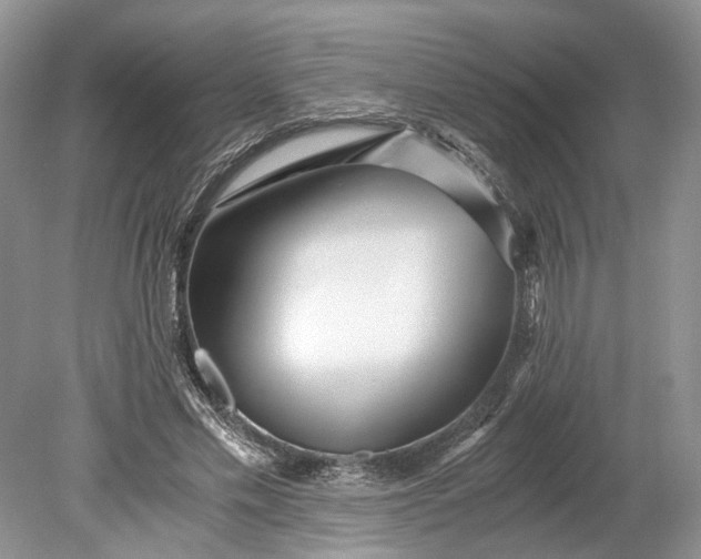 X0000078880589200611271329