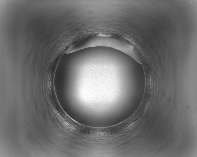 X0000078880593200611271329