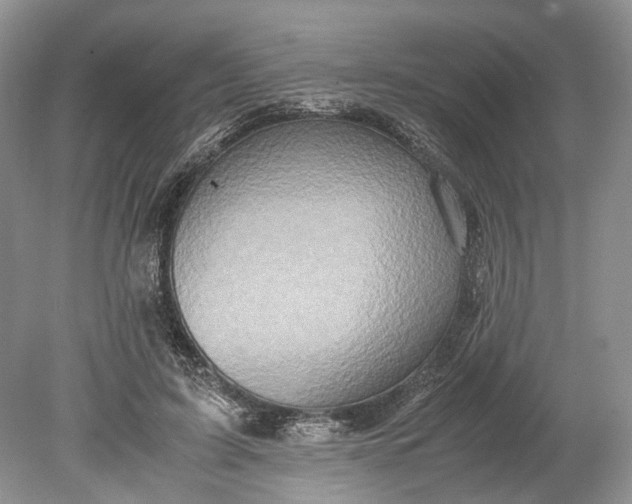 X0000078880595200611271329