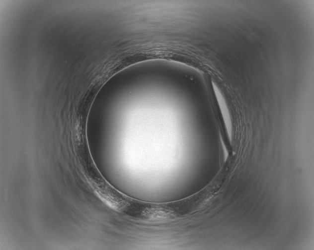 X0000078880597200611271329