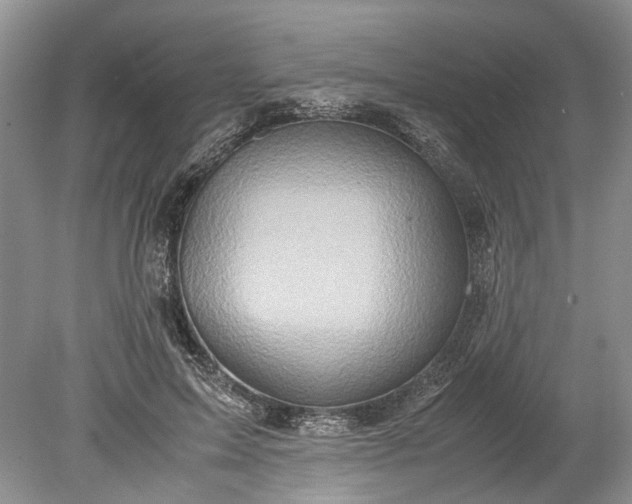 X0000078880599200611271329