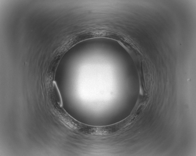 X0000078880601200611271329