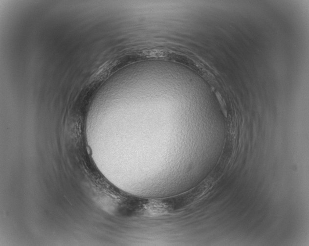 X0000078880603200611271329