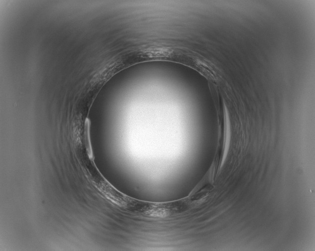 X0000078880604200611271329