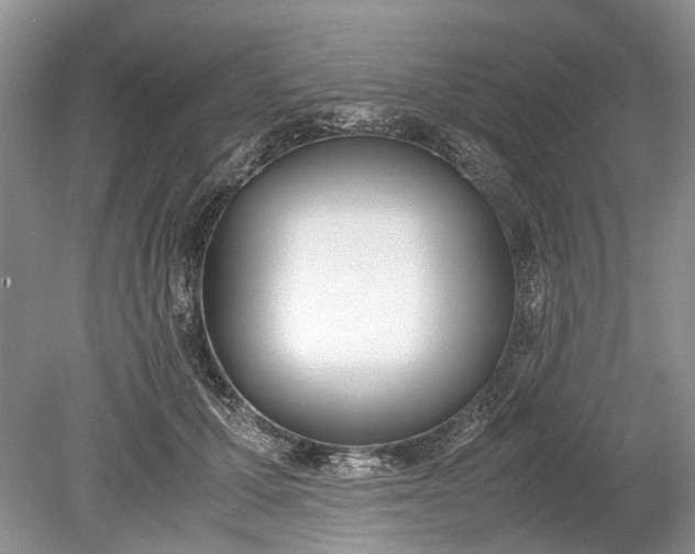 X0000078880607200611271329