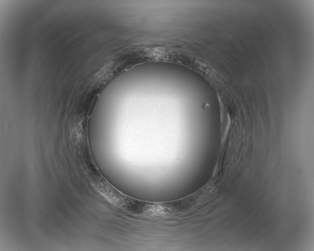 X0000078880611200611271328