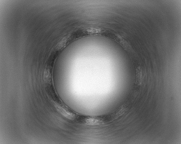 X0000078880614200611271328