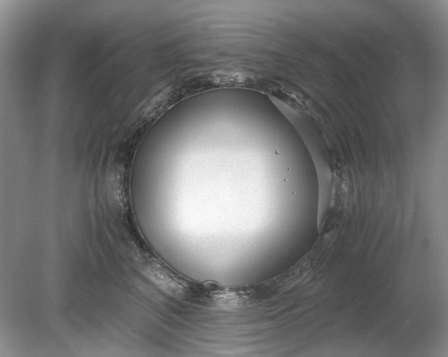 X0000078880616200611271328