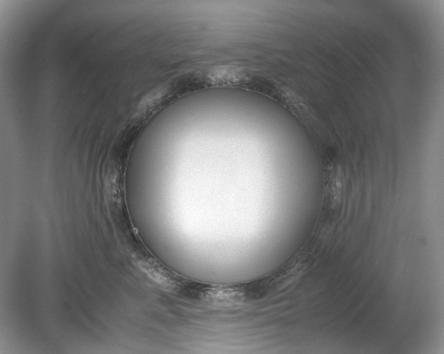 X0000078880619200611271328