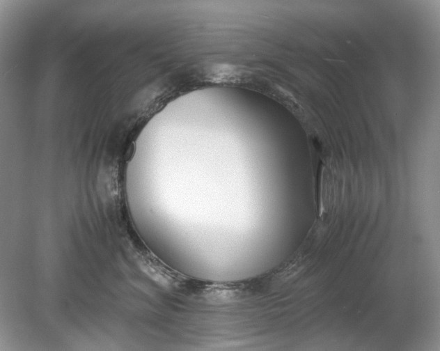 X0000078880620200611271328