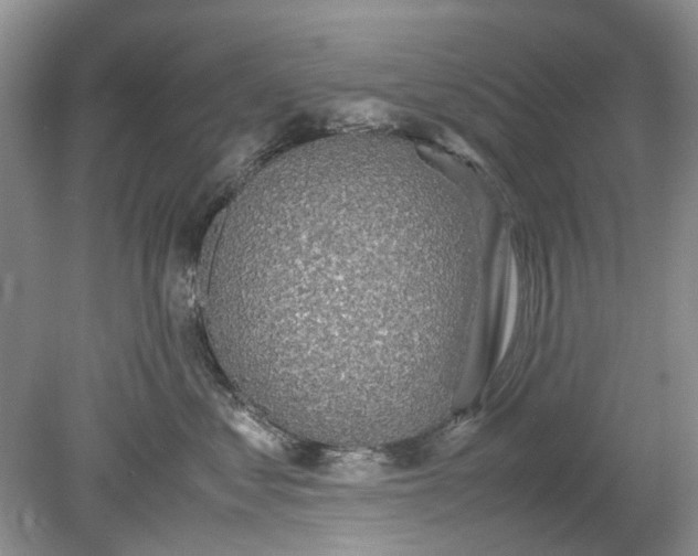X0000078880621200611271328