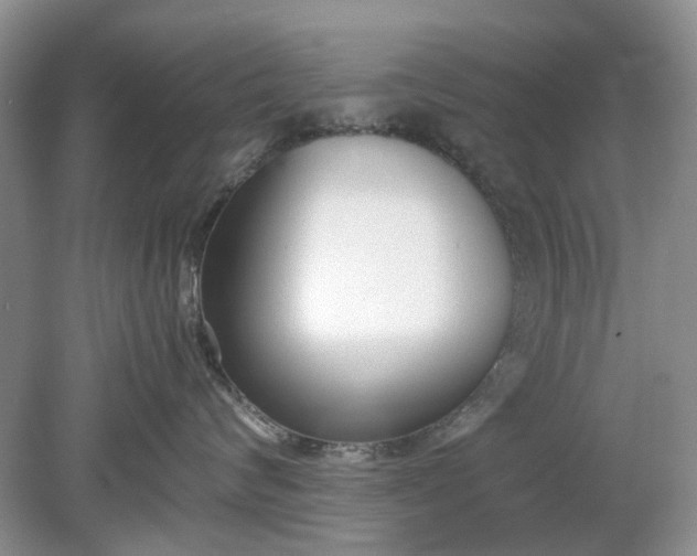 X0000078880624200611271328
