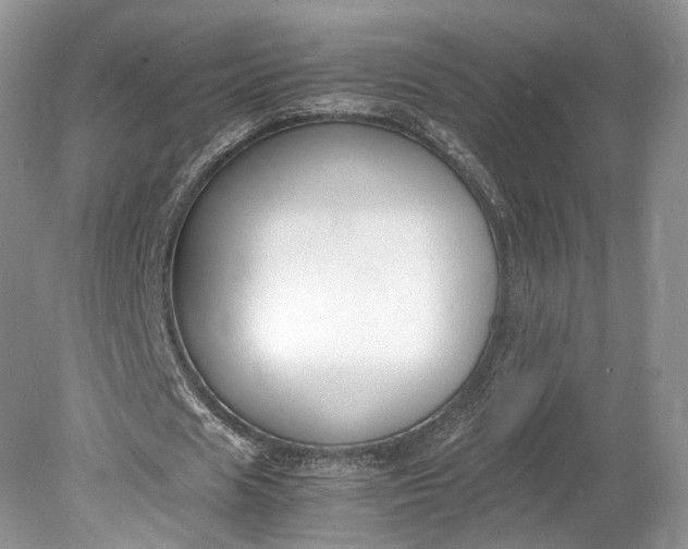 X0000078880625200611271327