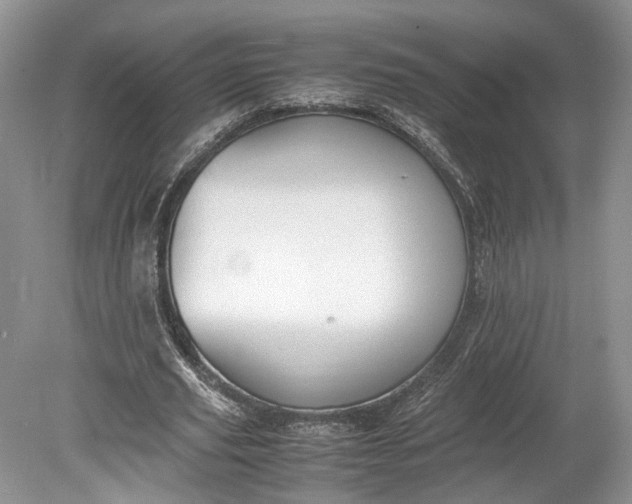 X0000078880629200611271328