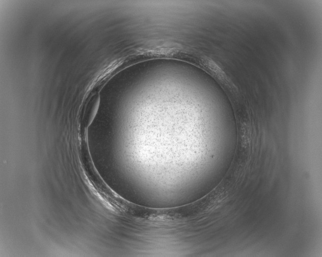 X0000078880634200611271328
