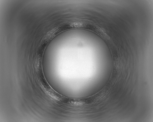 X0000078880645200611271328