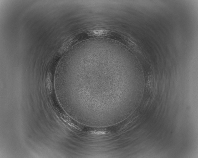 X0000078880651200611271328