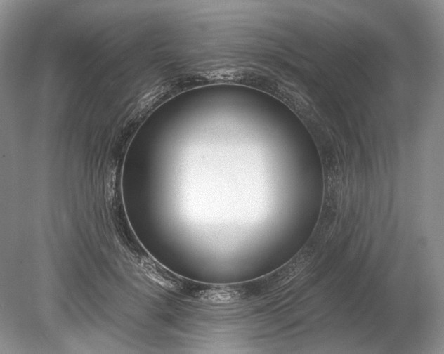 X0000078880652200611271328