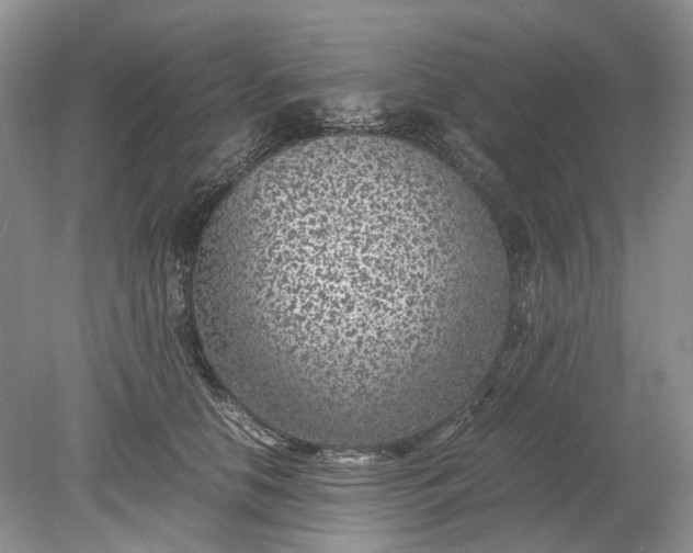 X0000078880658200611271328