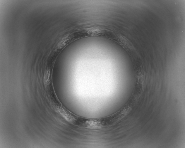 X0000078880660200611271328