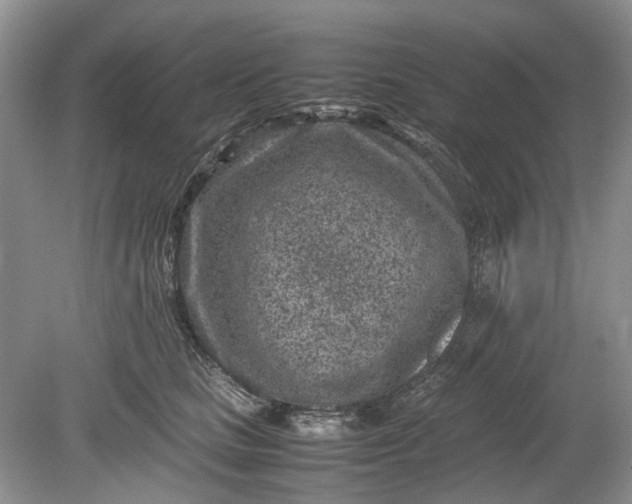 X0000078880661200611271328