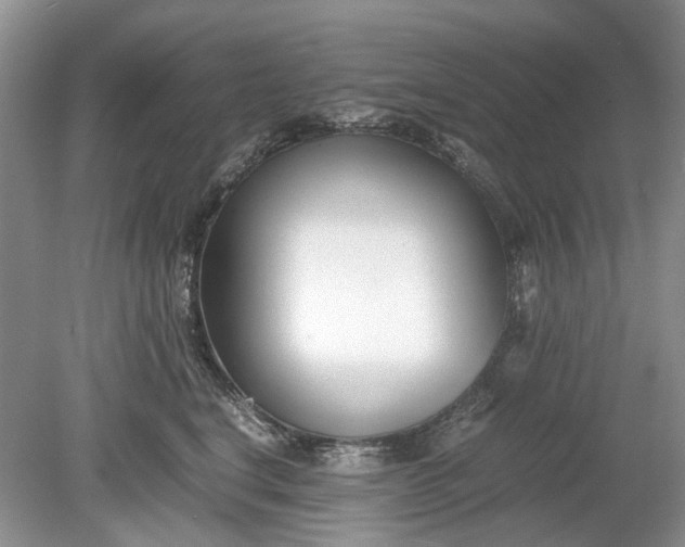 X0000078880664200611271328