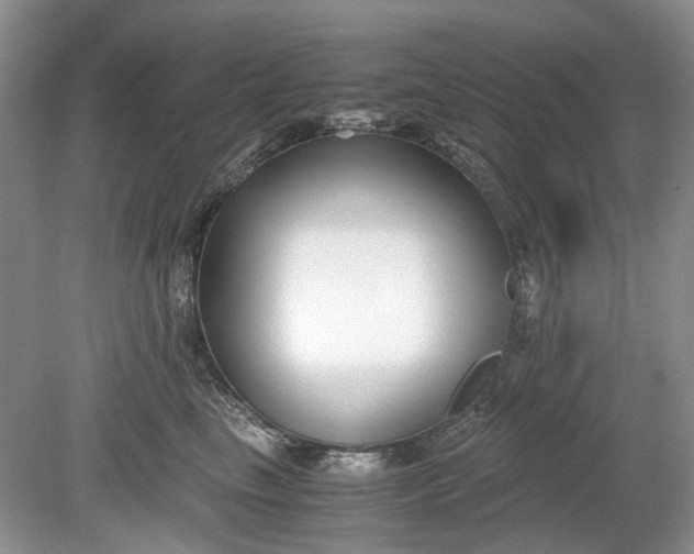 X0000078880665200611271328