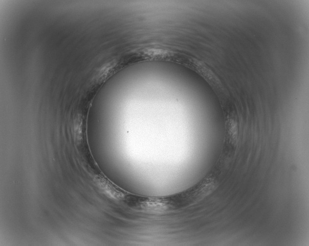 X0000078880668200611271328