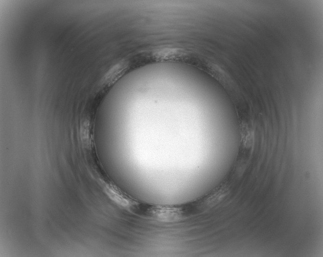 X0000078880670200611271328