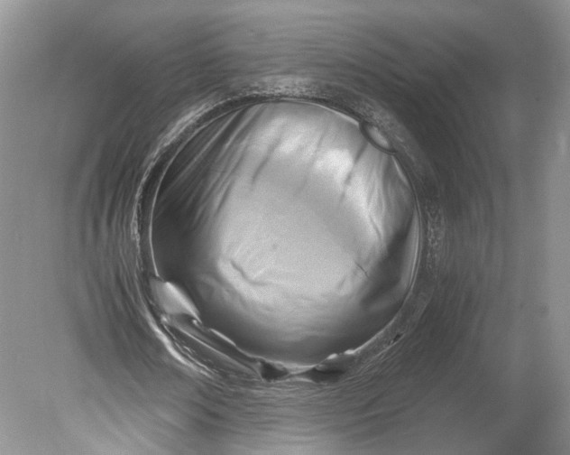 X0000078880674200611271327