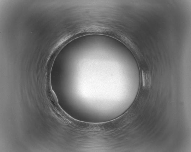 X0000078880675200611271327