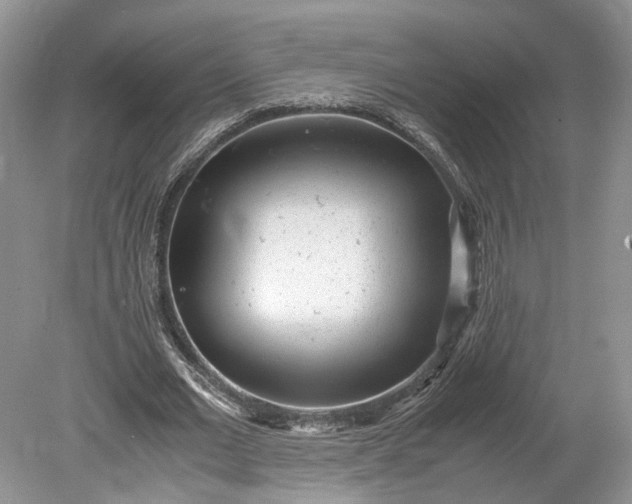 X0000078880677200611271327