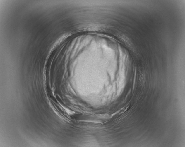 X0000078880678200611271327