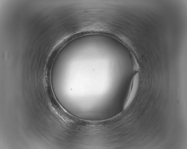 X0000078880680200611271327