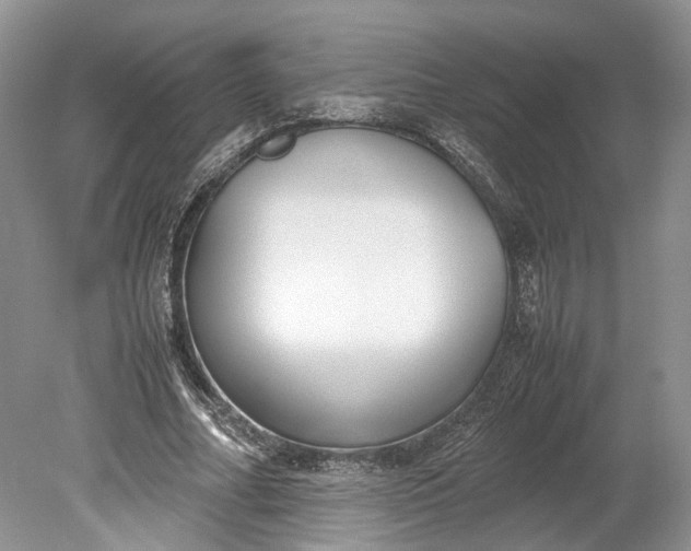 X0000078880682200611271327