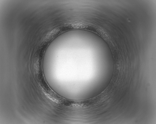 X0000078880690200611271327