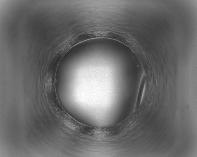 X0000078880697200611271327