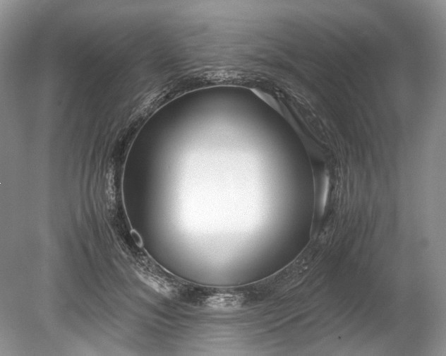 X0000078880700200611271327
