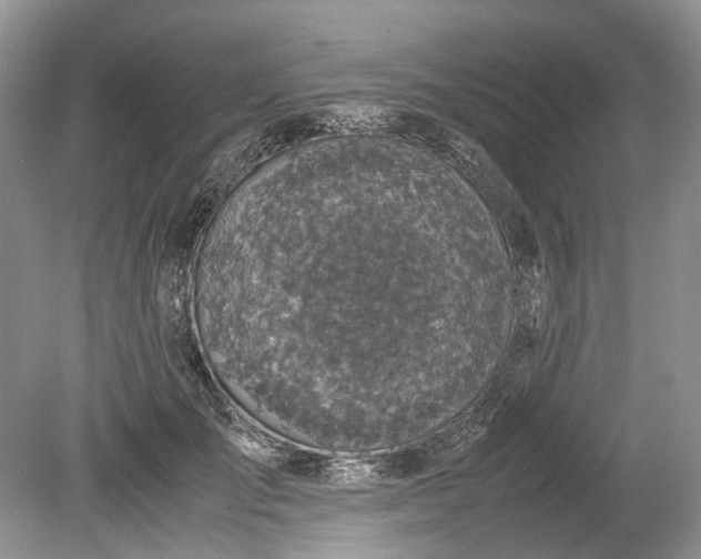 X0000078880701200611271327