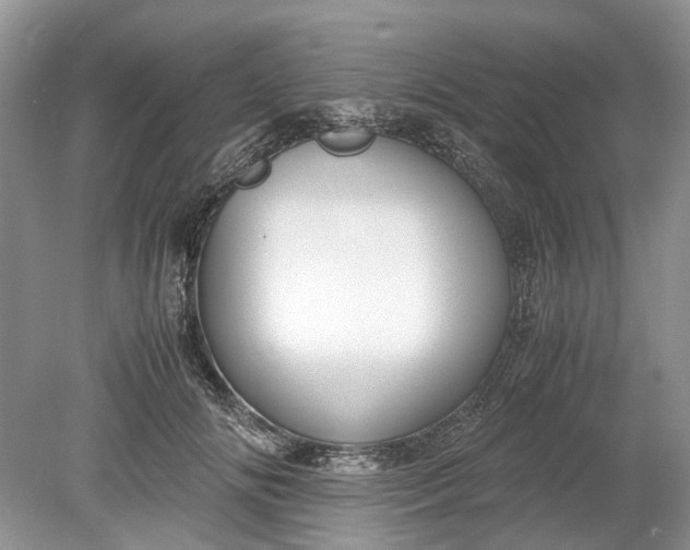 X0000078880702200611271327