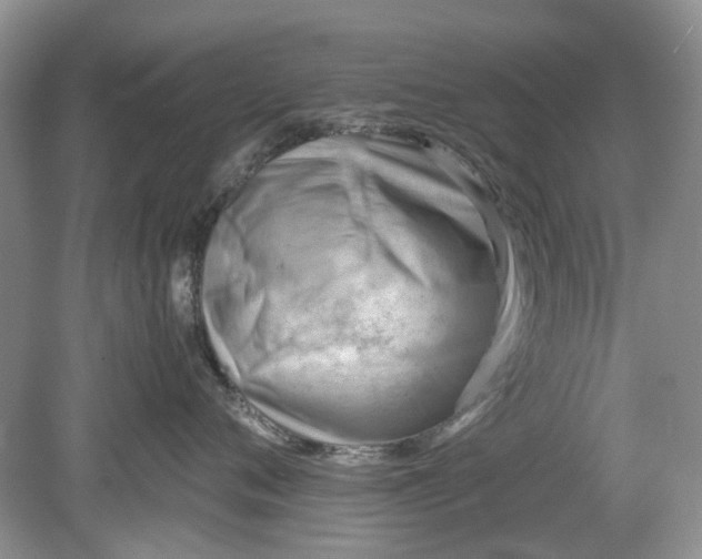 X0000078880720200611271327