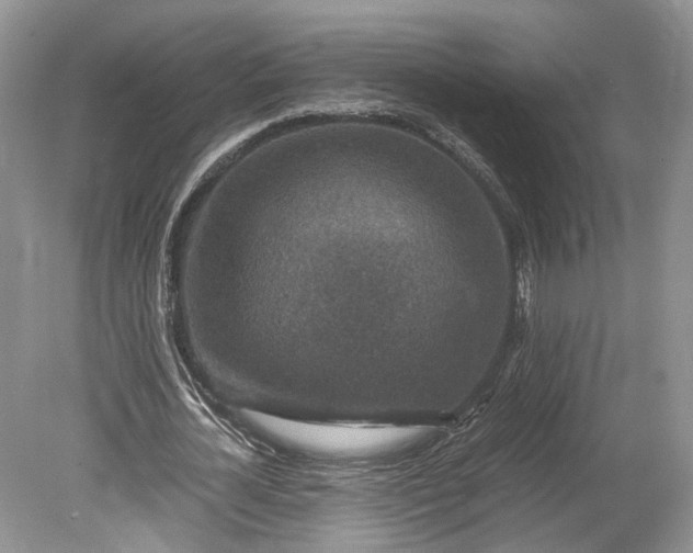 X0000078880724200611271326