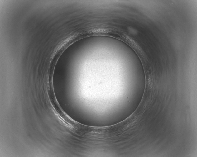 X0000078880725200611271326