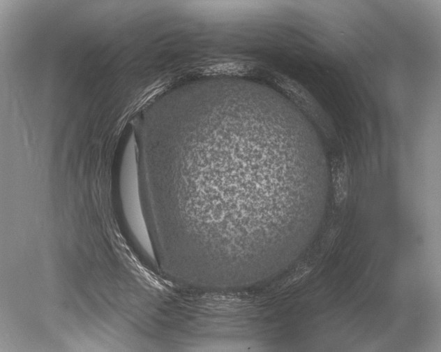 X0000078880729200611271326
