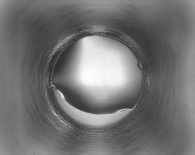 X0000078880732200611271326